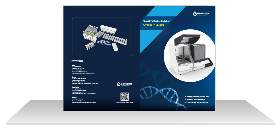 AmMagTM Quatro Brochure Download