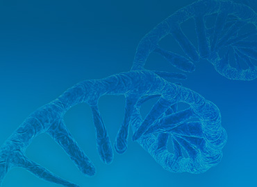IVT mRNA Reagents