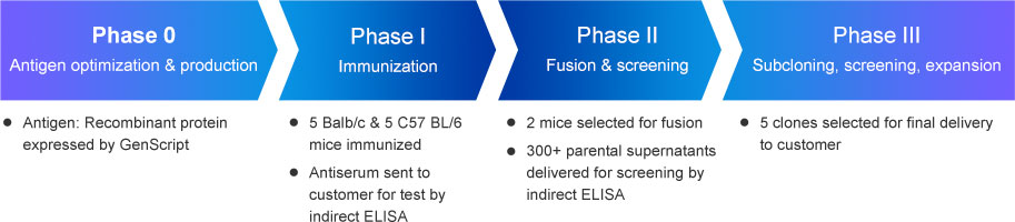 Custom mouse monoclonal antibodies case study Custom mouse monoclonal antibodies case study