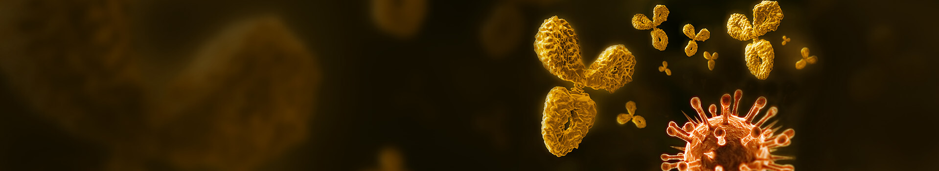Custom Antibody Production