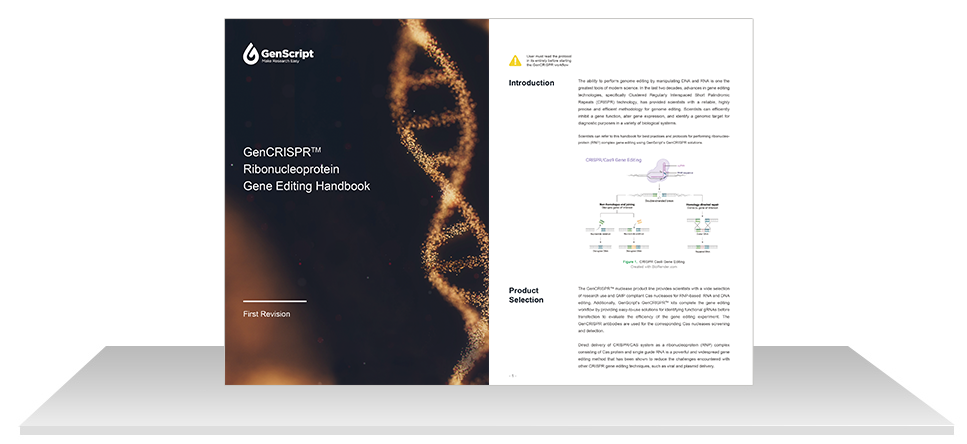 Ribonucleoprotein PDF download