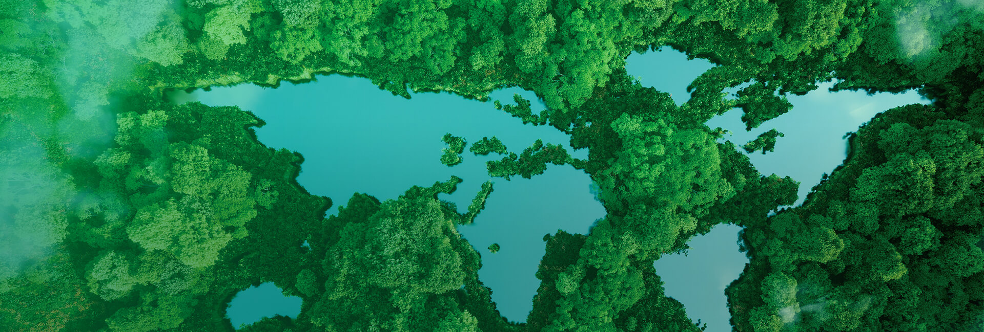 Preserving Our Environment