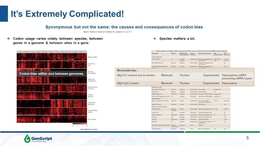 the causes and consequences of codon bias
