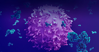 Customized Antibody Development
