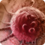 Therapeutics for cancer