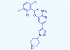 small molecule cancer drug; low-nanomolar inhibitor; anticancer therapy;