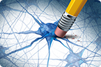 Parkinson, Parkinson's disease, lewy bodies, c-Abl, neurites, synuclein, alpha-synuclein