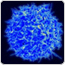 Gene and Cell therapy