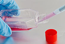 CRISPR & Cell Lines