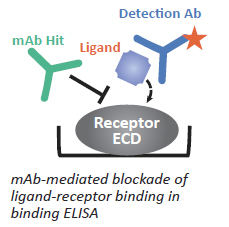 plate-based functional assay