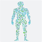 proteomic map, transcriptome, human proteome