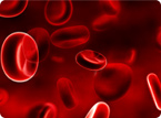 tissue engineered bone marrow, platelet differentiation