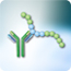 Epitope mapping