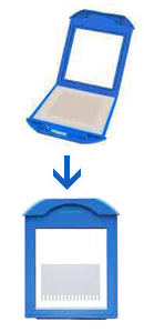 place rinsed gel, pre-wet filter paper