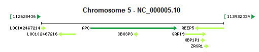 APC gene Genomic context