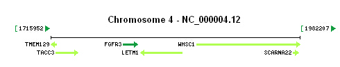 FGFR3 gene Genomic context