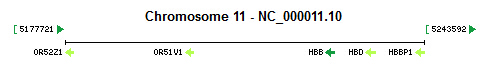 HBB gene Genomic context