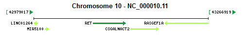 RET gene Genomic context