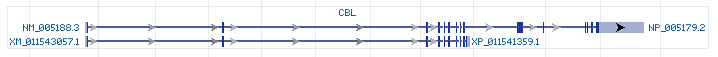 CBL gene Genomic sequence