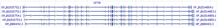 CFTR gene Genomic sequence