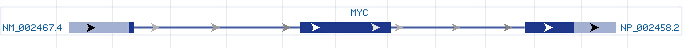 MYC gene Genomic sequence