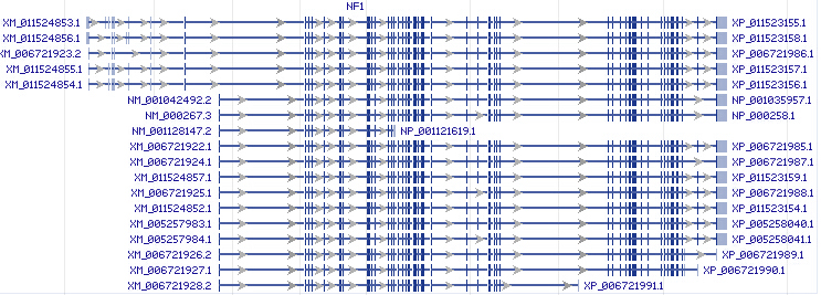 NF1 gene Genomic sequence