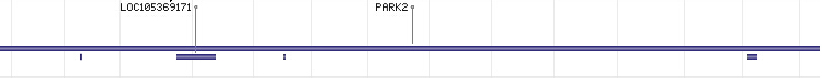 PARK2 gene Genomic sequence