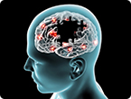 alzheimer's disease, arginase activity