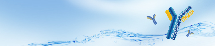 Antibody Services Banner