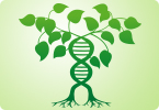 plant genetics, plant genome editing