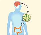 gut microbes and mental health
