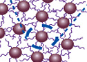 wound healing peptide