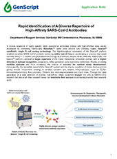 CRISPR/Cas9 gRNA Vector
