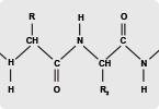 pharmakokinetics, peptide stability, drug delivery