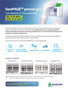 SurePAGE precast gels