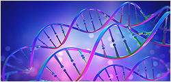 Gene Resource
                      Center
