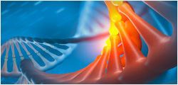 DNA Mutant Library