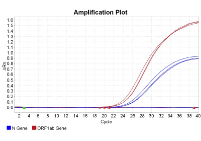 Site-Saturation Mutagenesis