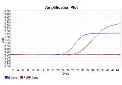 Saturation Scanning Mutagenesis