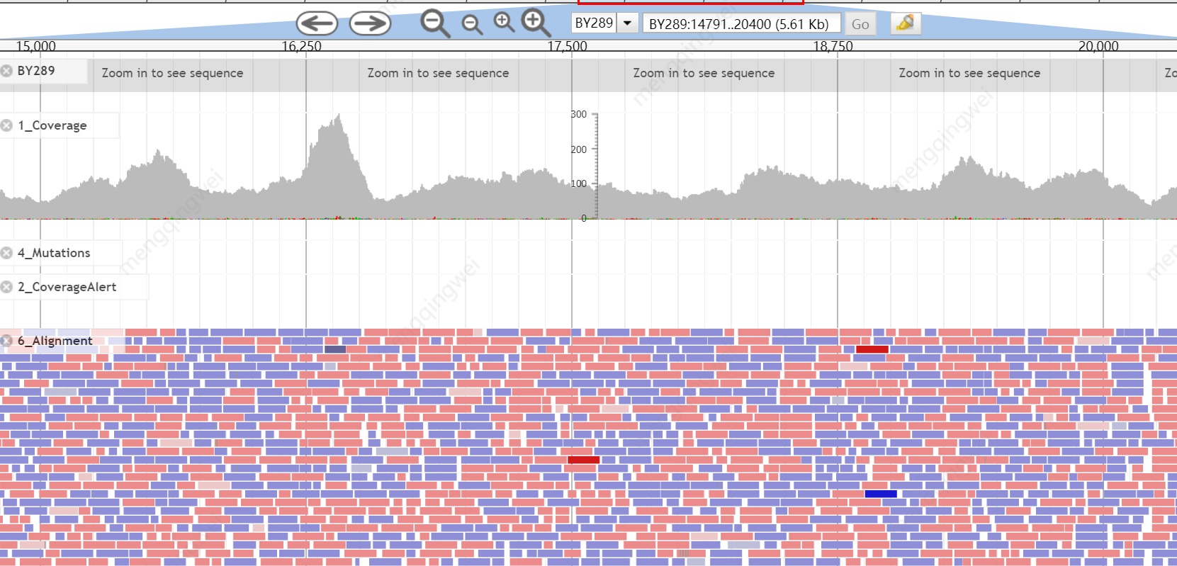 NGS sequencing for final validation NGS sequencing for final validation