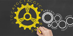 GenSmart™ Codon Optimization