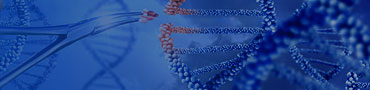 Process Development Banner