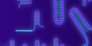GenCRISPR gRNA Design Tool