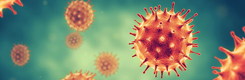 Pseudovirus Particles