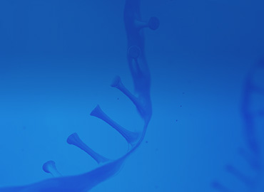  Custom DNA Oligo