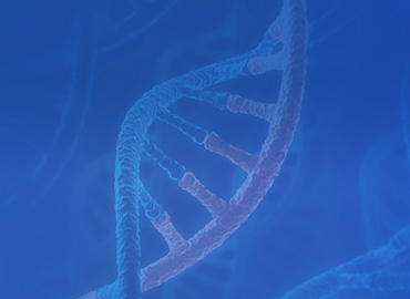  Custom RNA Oligo 