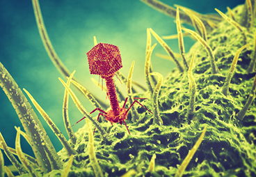 An improved phage display strategy for improving protein solubility