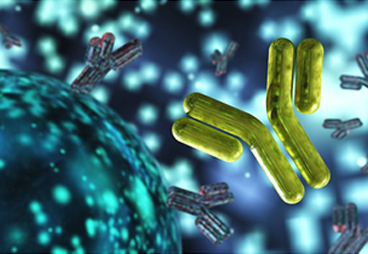 Broad HIV Neutralization – The Long-Standing Goal Is Achieved