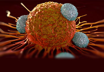 Cancer Cells Use Regulatory T Cells to Activate Antitumor Immunosuppression