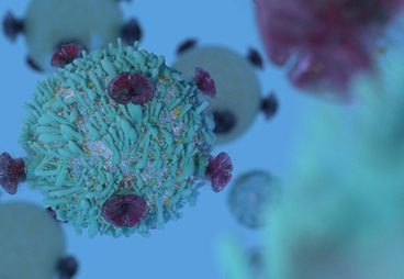 Cancer Immunotherapy: From Inception to Nobel Prize and Beyond